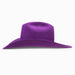 Resistol 6X AC Violet Felt Hat HATS - FELT HATS Resistol   