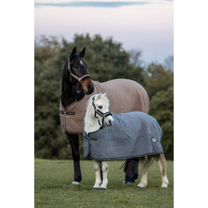 Back On Track Haze Show Quilt Cooler
