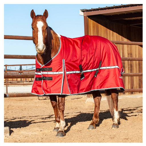 Classic Equine 5K Cross Trainer Winter Blanket Equine - Blankets & Sheets Classic Equine
