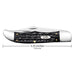 Case Jigged Buffalo Horn - Folding Hunter Knives W.R. Case