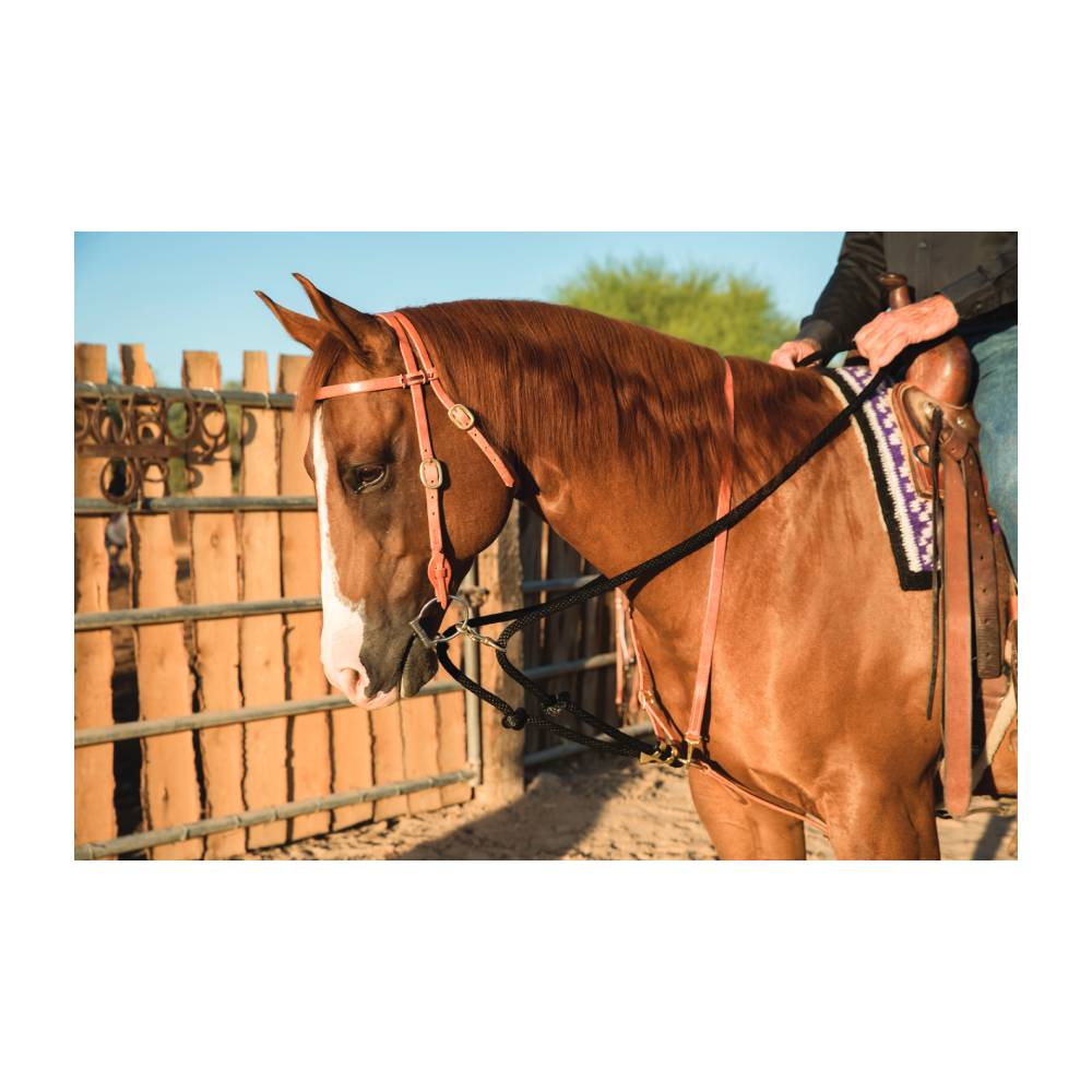 Professional's Choice AD Draw Rope Martingale Tack - Training - Headgear Professional's Choice   