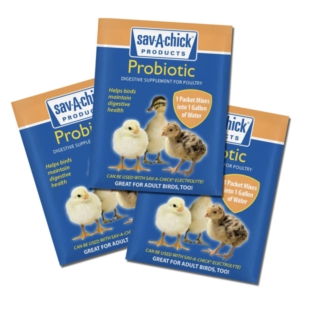 Sav-a-Chick Probiotic Supplement 3-Pack Livestock - Vitamins & Supplements Sav-a-Chick   