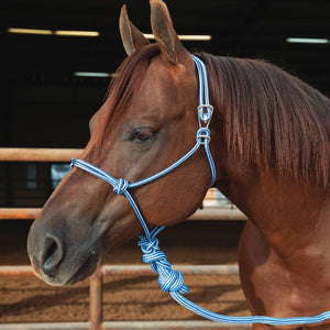 Professional's Choice Easy On Rope Halter with Lead Tack - Halters & Leads Professional's Choice   