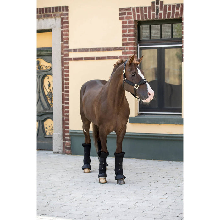 Back On Track Royal Quick Wraps Deluxe Equine - Therapeutic Back on Track