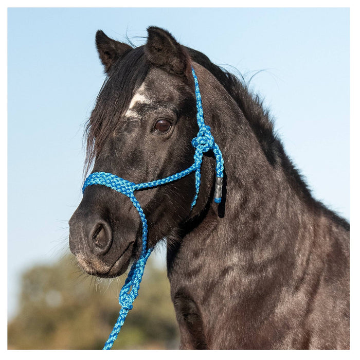 Cashel Flat Braid Pony Halter