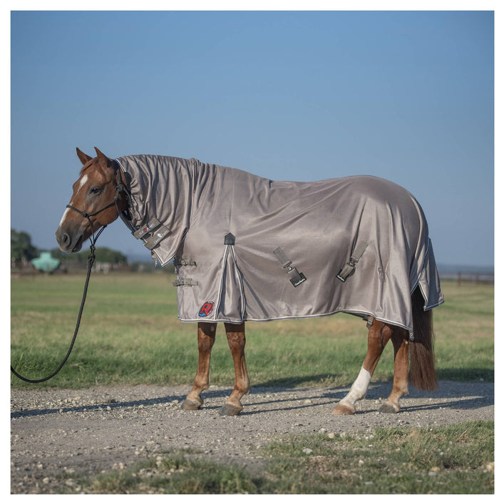 Classic Equine Ceramic Sheet Equine - Therapeutic Classic Equine