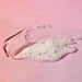 Voluspa French Linen Hand Soap HOME & GIFTS - Bath & Body - Soaps & Sanitizers Voluspa   