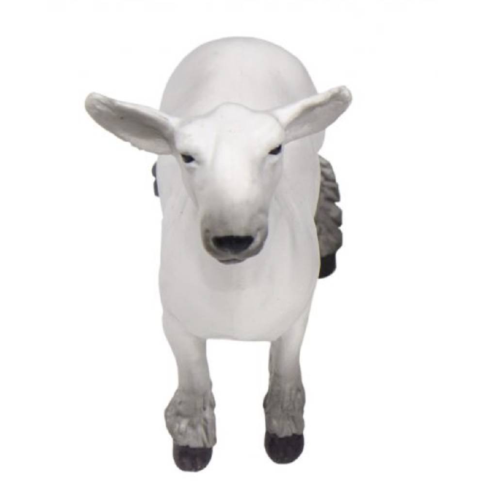 Champion Dorset Market Lamb KIDS - Accessories - Toys Little Buster