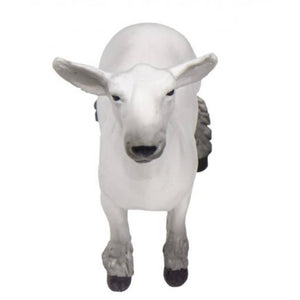 Champion Dorset Market Lamb KIDS - Accessories - Toys Little Buster