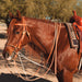 Professional's Choice AD German Martingale Tack - Training Professional's Choice   
