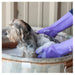 Classic Equine Wash Gloves Equine - Grooming Classic Equine