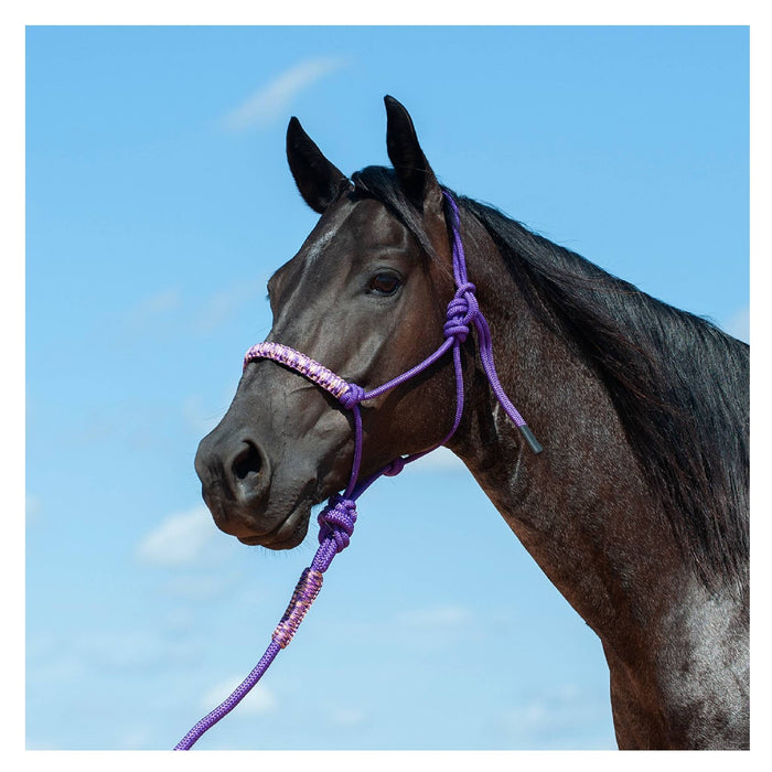 Cashel Braided Rope Nose Halter with Lead Tack - Halters & Leads Cashel
