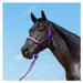 Cashel Braided Rope Nose Halter with Lead Tack - Halters & Leads Cashel