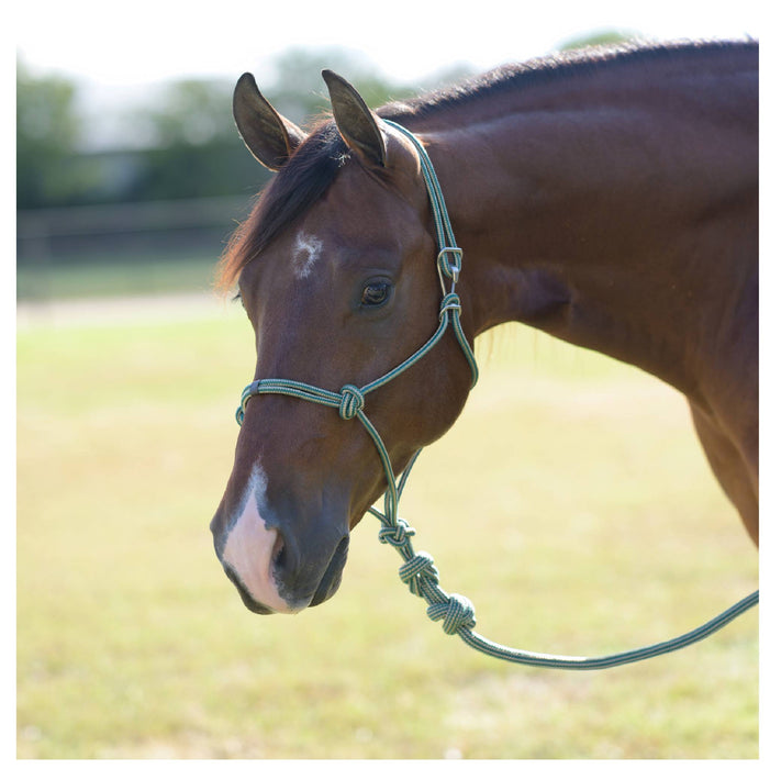 Professional's Choice Easy On Rope Halter w/Lead Tack - Halters & Leads Professional's Choice