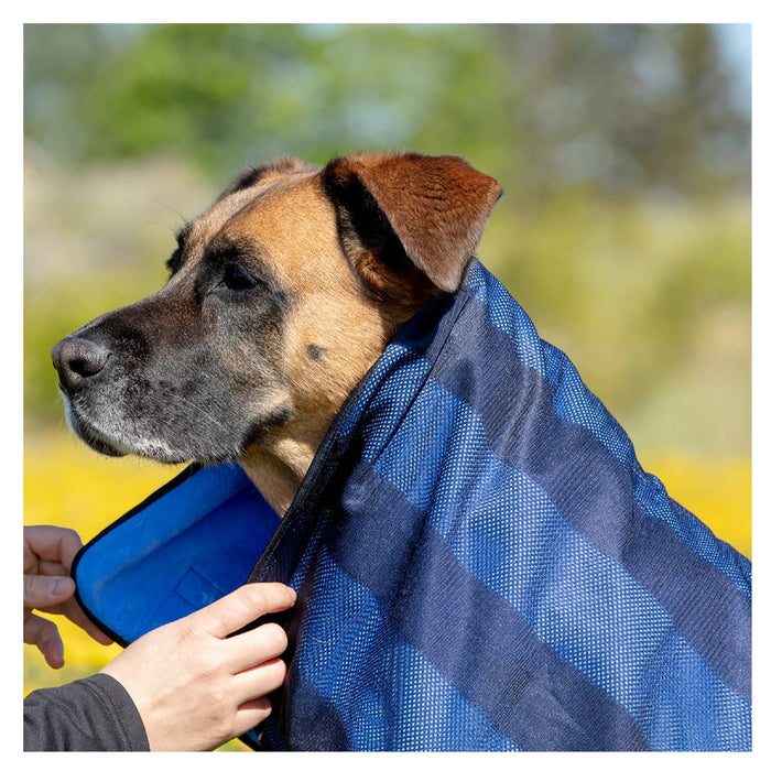 Cool on Track Towel