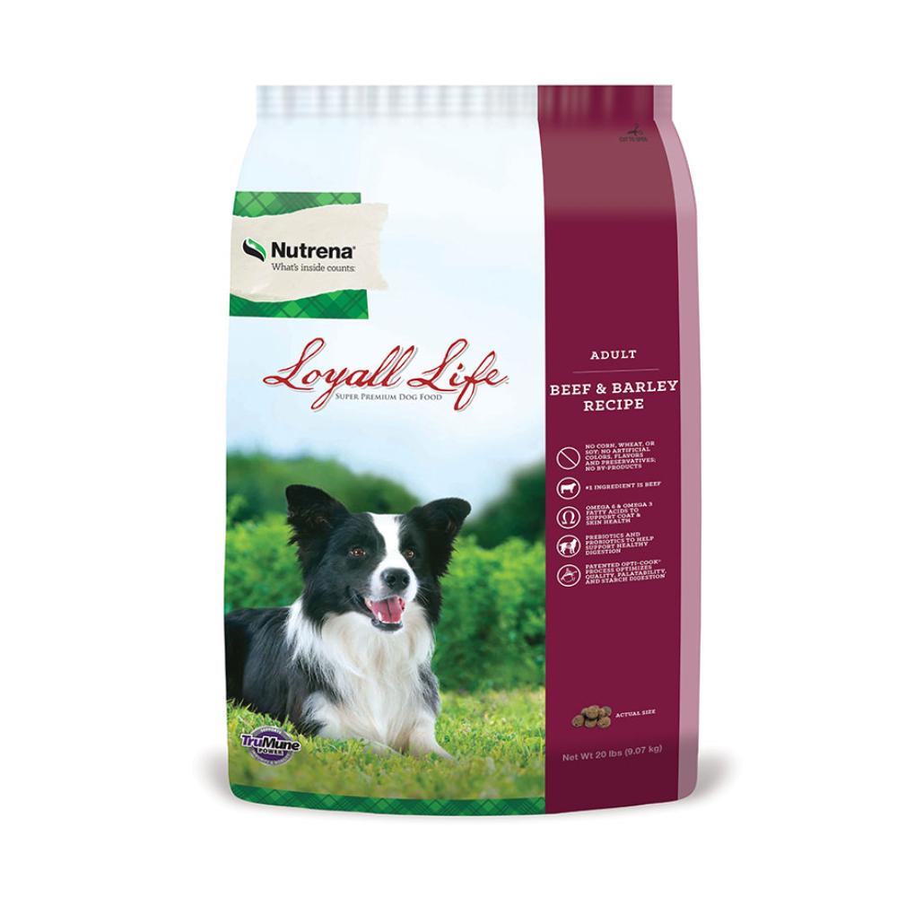 Nutrena Loyall Life Adult Beef & Barley Recipe Dog Food Feed & Hay - Feed Nutrena   