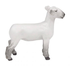 Champion Dorset Market Lamb KIDS - Accessories - Toys Little Buster