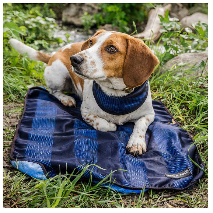 Cool on Track Towel