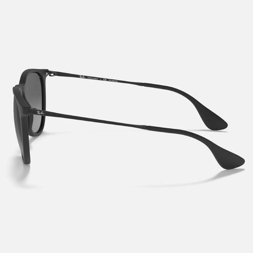 Ray-Ban Erika Sunglasses ACCESSORIES - Additional Accessories - Sunglasses Ray-Ban   