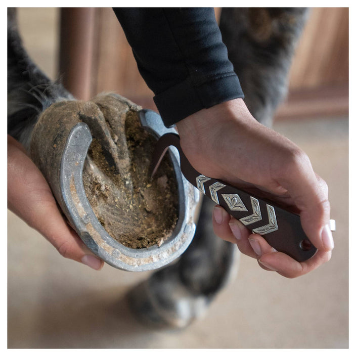 Cashel Hoof Pick Farrier & Hoof Care - Tools Cashel