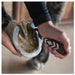 Cashel Hoof Pick Farrier & Hoof Care - Tools Cashel