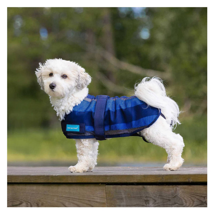 Cool on Track Dog Coat