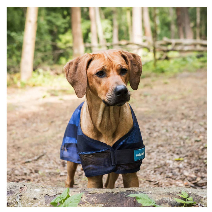 Cool on Track Dog Coat
