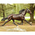 Breyer Atlanta Horse KIDS - Accessories - Toys Breyer   