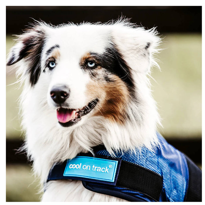 Cool on Track Dog Coat