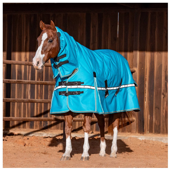 Classic Equine '26 Colors 10K Cross Trainer Hooded Winter Blanket