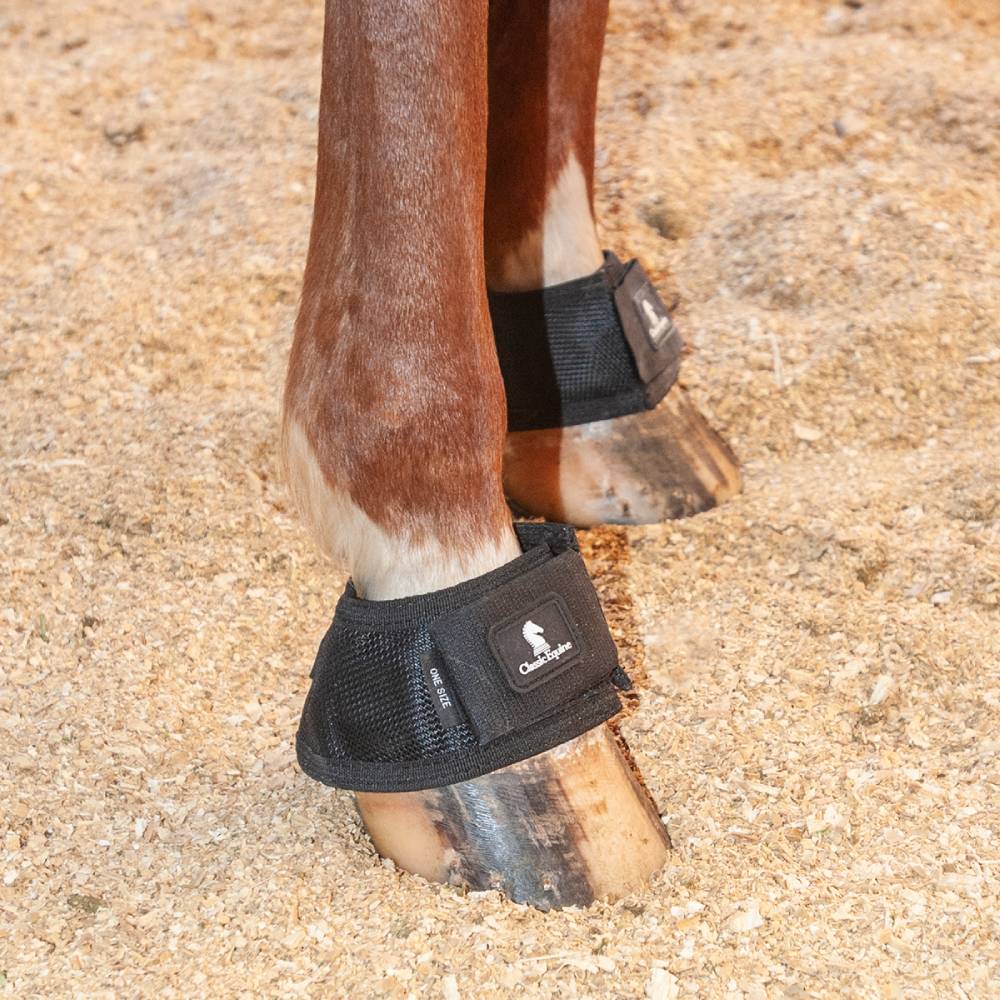 Classic Equine Magntx Hock Wrap For Horses Classic Equine MagNTX Hock ...