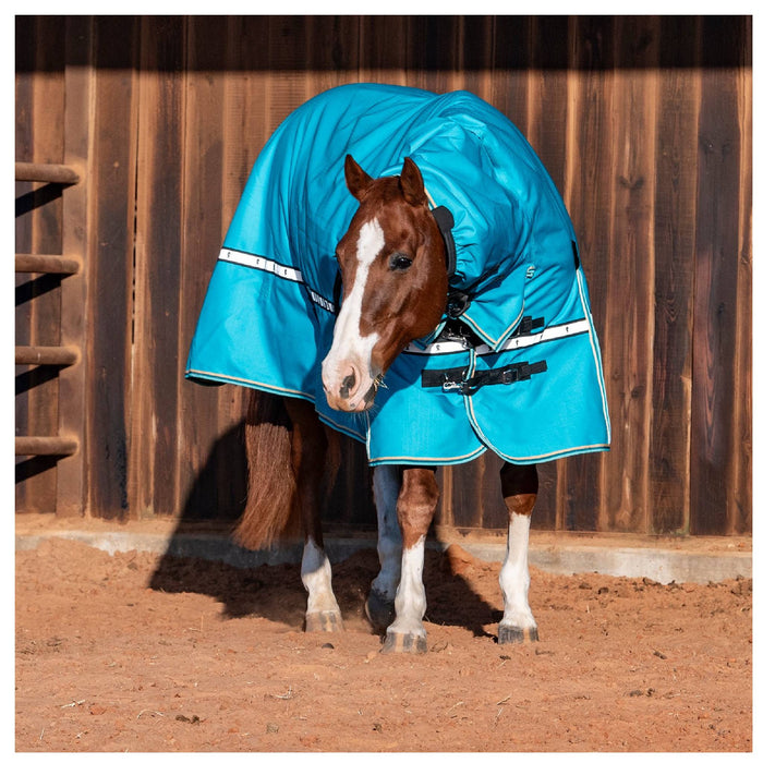 Classic Equine '26 Colors 10K Cross Trainer Hooded Winter Blanket