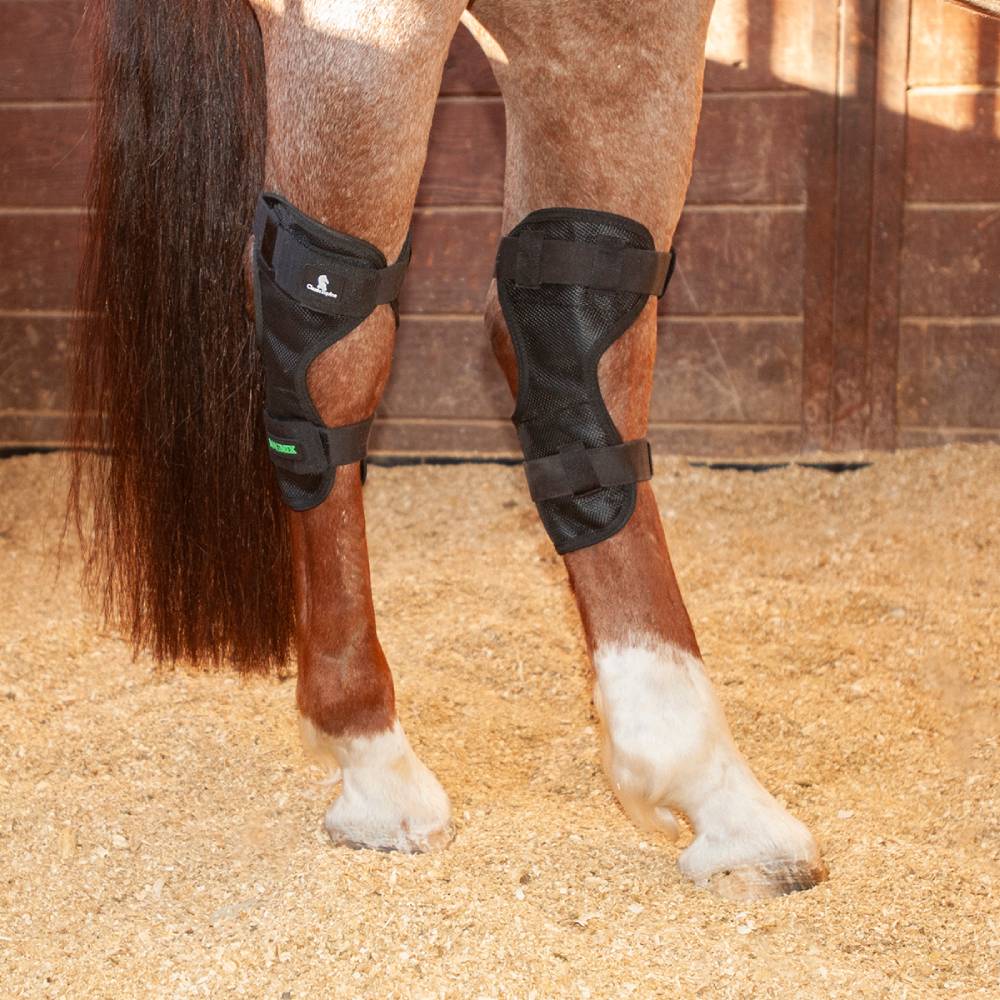 Classic Equine MagNTX Hock Wrap Tack - Leg Protection - Rehab & Travel Classic Equine   