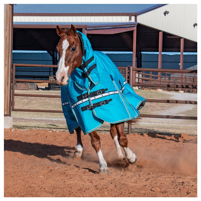 Classic Equine '26 Colors 10K Cross Trainer Hooded Winter Blanket