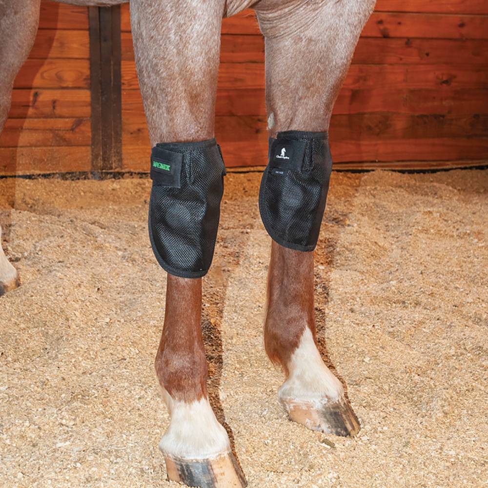Classic Equine MagNTX Knee Wrap Tack - Leg Protection - Rehab & Travel Classic Equine   