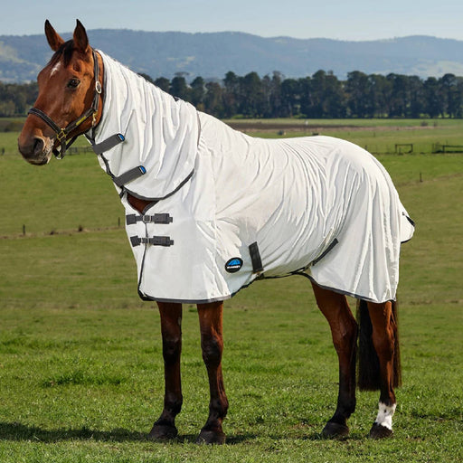 Weatherbeeta ComFiTec Tyro Fly Sheet Combo Equine - Fly & Insect Control Weatherbeeta