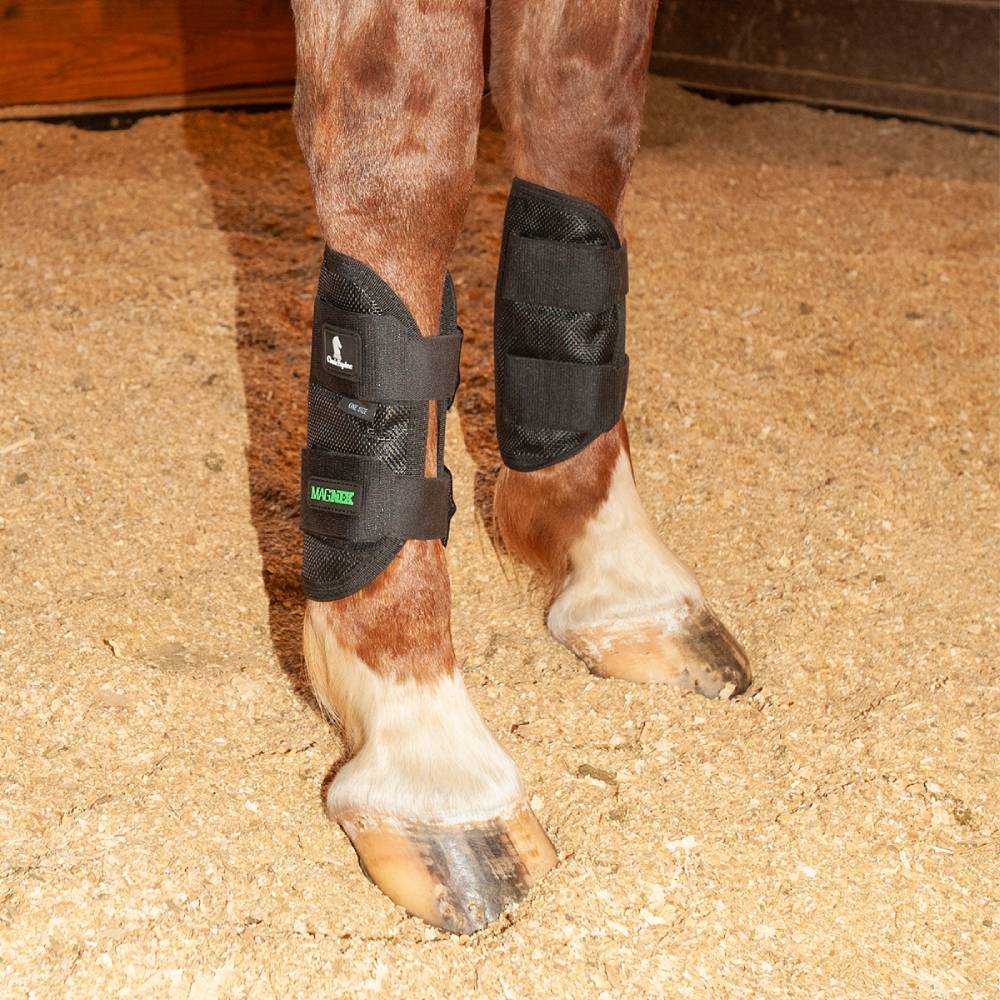 Classic Equine MagNTX Tendon Wrap Tack - Leg Protection - Rehab & Travel Classic Equine   