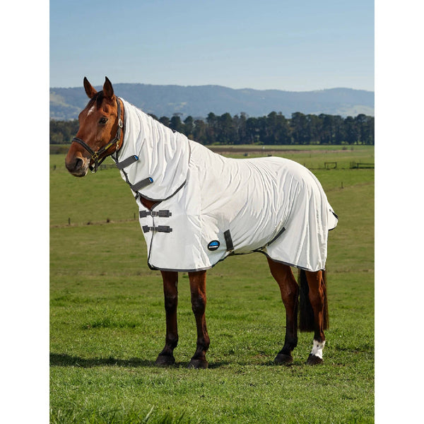 Equine Care