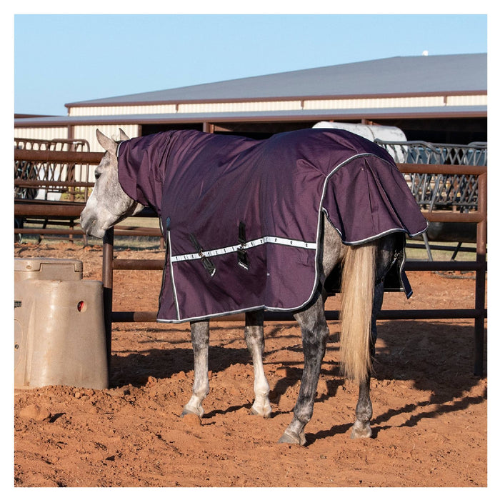 Classic Equine '26 Colors 10K Cross Trainer Hooded Winter Blanket
