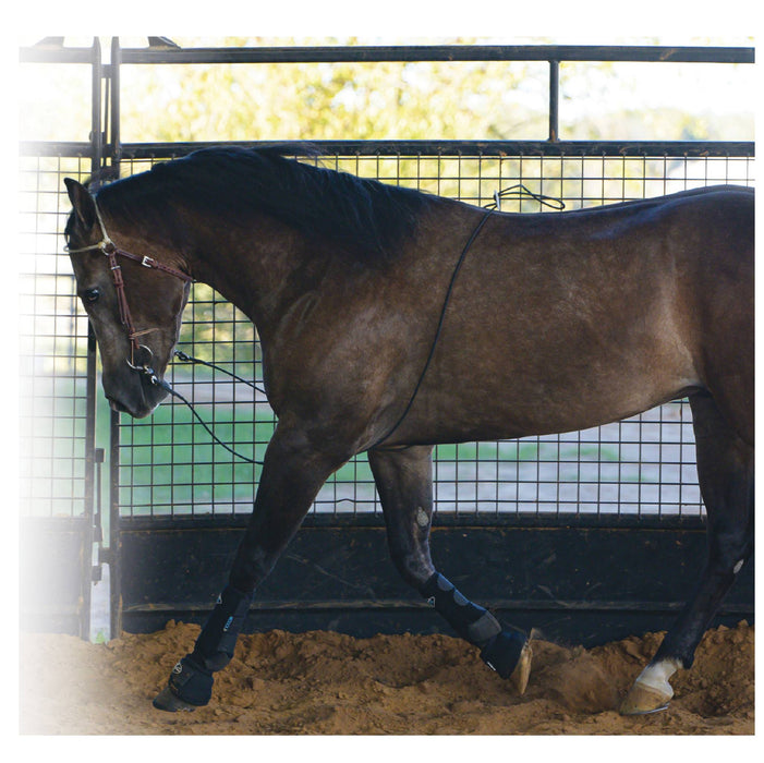 Professional's Choice Lunging Buddy Tack - Halters & Leads Professional's Choice