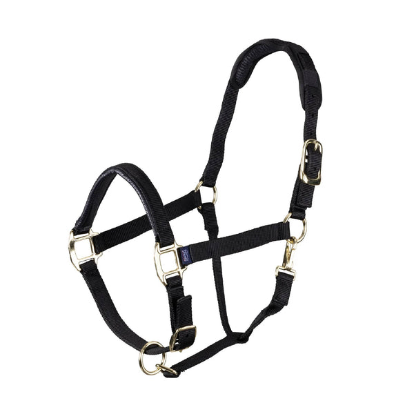Halters & Leads