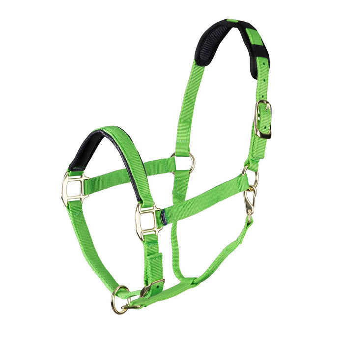 Shires Topaz Nylon Halter Tack - Halters & Leads Shires Lime Green XS Pony