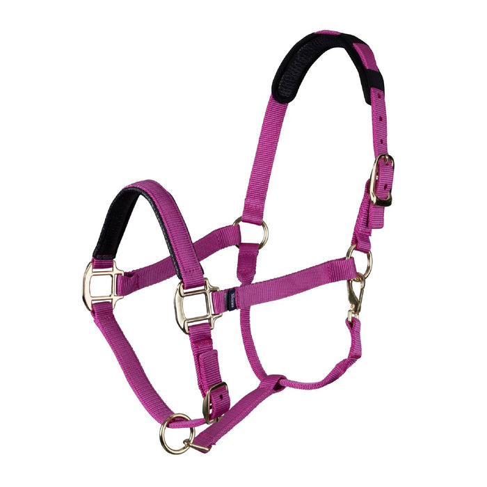 Shires Topaz Nylon Halter Tack - Halters & Leads Shires