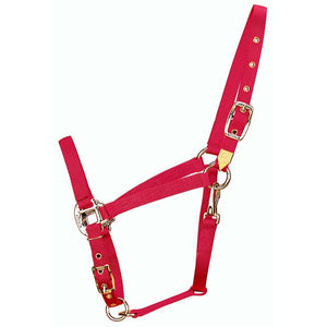 Hamilton 1" Deluxe Nylon Halter - Arabian Size Tack - Halters Hamilton   