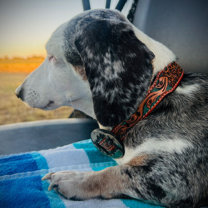 Teskey's Turquoise Floral Tooled Dog Collar with Two-Tone Rectangle Buckle Pets - Accessories Teskey's