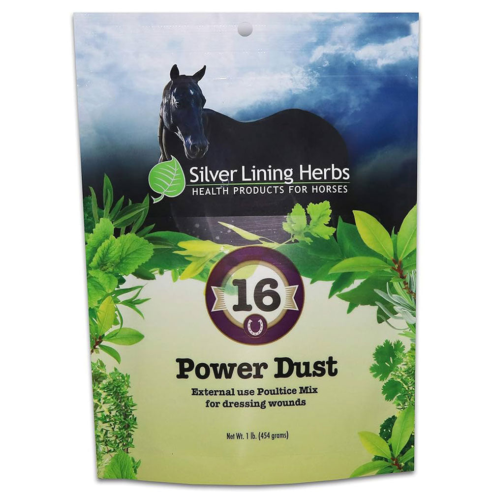 Silver Lining #16 Power Dust First Aid & Medical - Topicals Silver Lining   