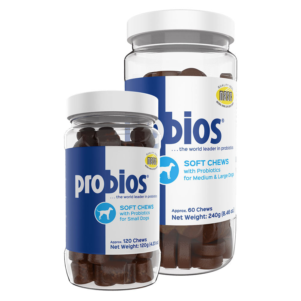 Probios Soft Chews with Prebiotics Supplement Pets - Vitamins & Supplements Probios   