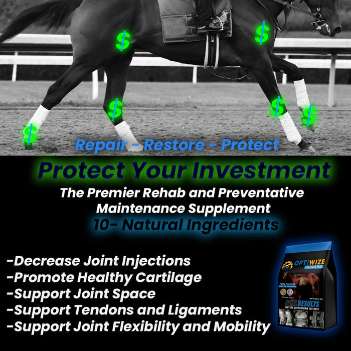 Optiwize Collagen +Plus Equine Joint Supplement Equine - Supplements Optiwize