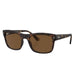 Ray-Ban RB4428 Sunglasses ACCESSORIES - Additional Accessories - Sunglasses Ray-Ban   