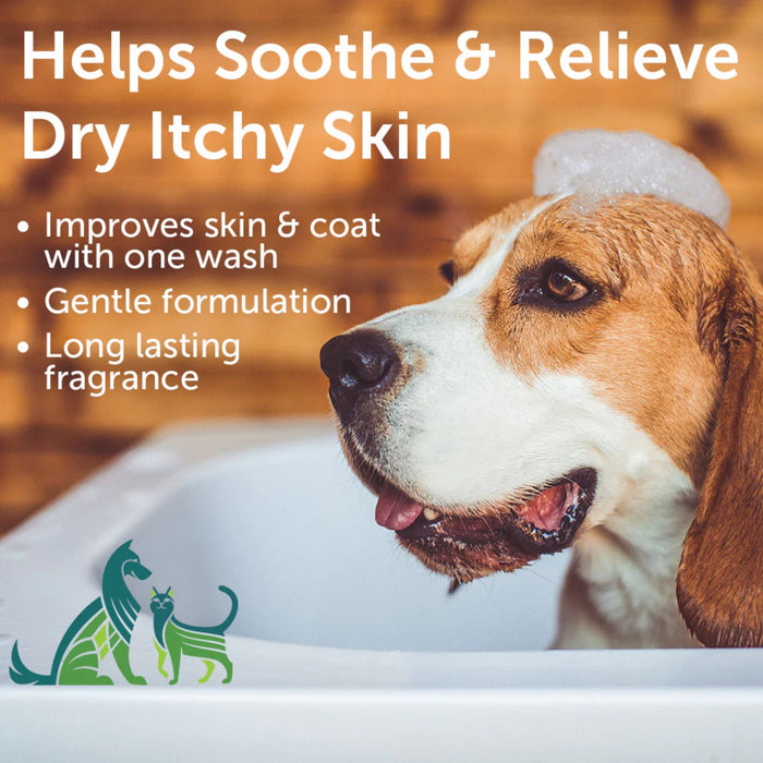 Nootie Dog and Cat Soothing Pet Shampoo